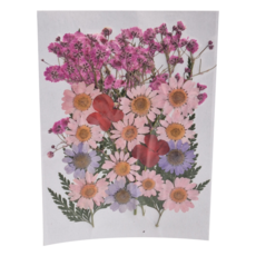 A-ONE 匯旺 真花壓花 中花包 Set 3個 - 粉紅佳人 BB04