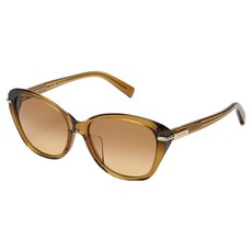 Salvatore Ferragamo 菲拉格慕 男女通用太陽眼鏡 SF2049SLBK 210 58