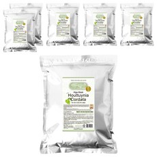 메디플라워 모델링팩 어성초 1kg, 1개입, 6개