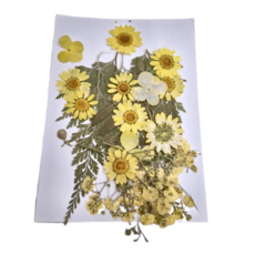 A-ONE 匯旺 真花壓花 中花包 - 黃花似錦 BB08, 2個