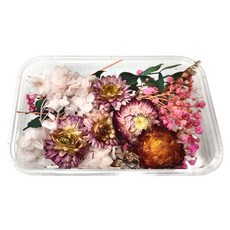 A-ONE 匯旺 乾燥花 A12 春花美景, 2入, 1個