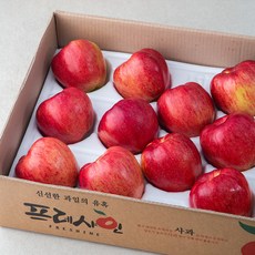 프레샤인 충주 GAP 인증 당도선별 사과, 5kg(대과, 14~16입), 1박스
