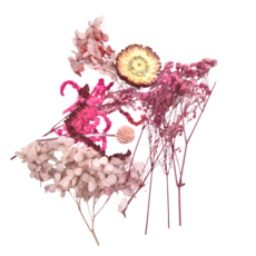 A-ONE 匯旺 乾燥花 C15 隨機乾燥花盒 5入, 顏色隨機