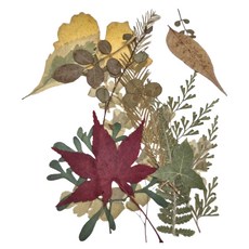 A-ONE 匯旺 真花壓花 小花包-綠葉成蔭 AA14, Set 2個