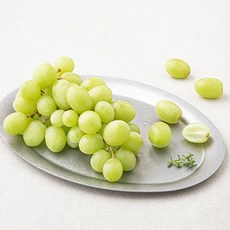 곰곰 미국산 스윗글로브 포도, 450g, 1개