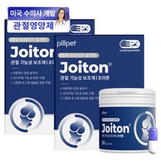 필펫 조이튼 강아지 고양이 관절영양제, 2개, 뼈/관절강화, 30정