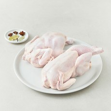 곰곰 1등급 생닭 두마리 (냉장), 1.4kg, 1세트