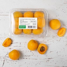 산지직송 푸드베이스 햇 살구, 500g, 1팩