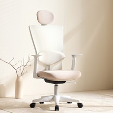 체어스코 네이처 사무용 컴퓨터 의자 허리받침세트, 베이지