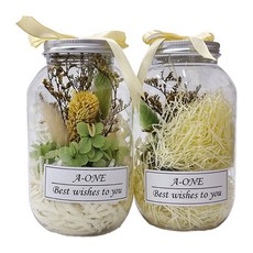 A-ONE 匯旺 永生花許願花瓶套裝, 2個, E款 綠兔尾草