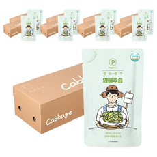 푸릇담 젊은농부 양배추즙, 3L, 9개