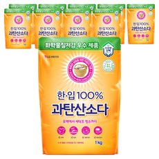 한입 100% 과탄산소다, 1kg, 10개