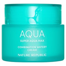 네이처리퍼블릭 슈퍼 아쿠아 맥스 컴비네이션 수분크림 복합성용, 120ml, 1개