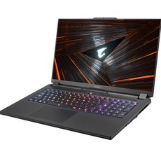 기가바이트 2022 AORUS 17 코어i7 인텔 12세대 지포스 RTX 3070 Ti, 블랙, 1TB, 16GB, WIN11 Home, AORUS 17 XE5H