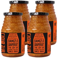 다미즐 자몽 액상차, 1kg, 1개입, 4개