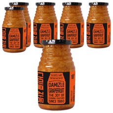 다미즐 자몽 액상차, 1kg, 1개입, 6개