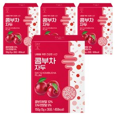 데이앤 콤부차 자두, 150g, 4개