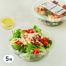 샐러드g 치킨데리야끼 샐러드, 176g, 5개