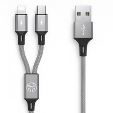 디지지 C타입 앤 8핀 2라인 스카이 제타 멀티 고속 충전 케이블, 1개, 메탈실버, 170cm