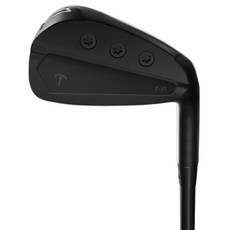 黑茶 男士用 許碩Pro The Carbon 鐵桿 T-10 6號 霧面黑, 25度, S