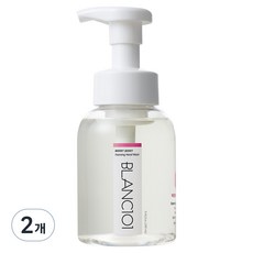 블랑101 핸드워시 메리베리, 2개, 280ml