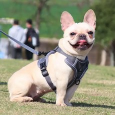 DING DONG PET 寵物犬防前衝網眼H型胸背帶, 灰色