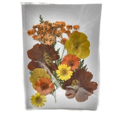 A-ONE 匯旺 真花壓花 小花包 3入 1個, AA04黃橘滿地, AA04 黃橘滿地