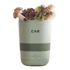 CAS 水果蔬菜家用奶瓶貴重金屬眼鏡超音波清洗機, BEGS002(綠色)