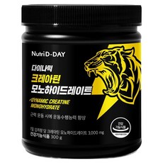 뉴트리디데이 다이나믹 크레아틴 모노하이드레이트, 300g, 1개