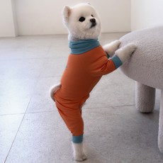 DOG-i 狗狗涼感連身衣, 1個, 深珊瑚色