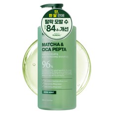말차 앤 시카펩타 탈모샴푸 허브민트, 1.05L, 1개