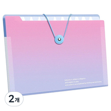 아트조이 그라데이션 아코디언 파일 폴더 12칸, 핑크, 2개