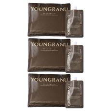 영라뉴 프로틴 핏 쉐이크 코코아맛 파우치형, 315g, 2개