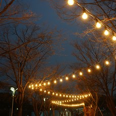 30燈LED裝飾燈泡串 30m+燈泡 3W 30入+燈罩 30入, 黑色(燈絲),白色(燈罩),日光(英寸球)