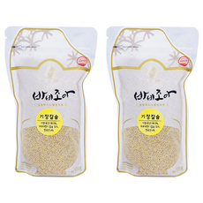 바비조아 기장칼슘, 500g, 2개