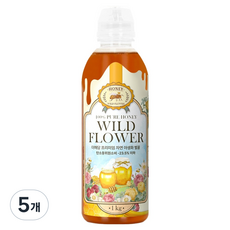 THE해담 프리미엄 자연 야생화 벌꿀, 1kg, 5개