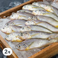 목포수협 어제 낙찰받은 생물 참조기 소 14-16미 (냉장), 1kg, 2개