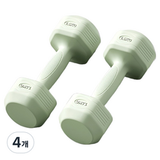 로이윙 파스텔 육각 아령 덤벨 양손 세트, 4개, 1.5kg