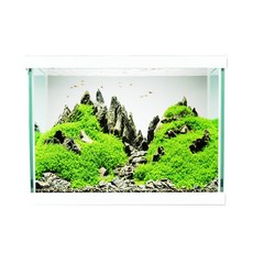 MOBYDICK 現代魚缸 A300 + 蓋子, 白色