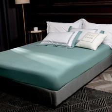 A-nice 60s長絨棉三線刺繡花 加大 d01淺綠色 簡約刺繡設計, 床包被套4件組, 雙人加大(床包188 x 182cm + 被套212 x 182cm + 枕套75 x 48cm), 淺綠色