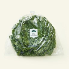 프리미엄 진도 봄동, 500g, 1개, 1개입