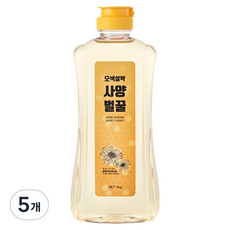 오색설악 사양벌꿀, 1kg, 5개