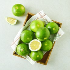 곰곰 미국산 메로골드 자몽, 3kg, 1개