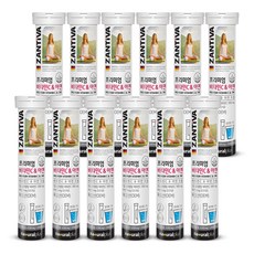 내츄럴플러스 잔티바 발포 비타민C 아연 90g, 20정, 12개