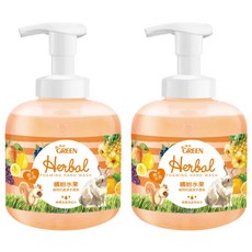 GREEN 綠的 植物抗菌潔手慕斯 繽紛水果, 400ml, 2瓶