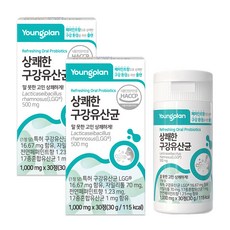 영진약품 상쾌한 구강유산균, 30정, 2개