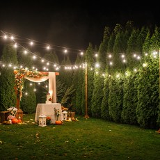 LED插座燈串 30m 30入+燈泡 8W 30顆, 黑色(電線)