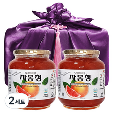 견과공장 자몽청, 950g, 2세트, 2개입