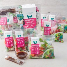 피그인더가든 파프리카 믹스 샐러드 KIT, 630g, 1세트