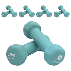 Valansis 美體啞鈴 薄荷綠, 0.5kg, 10個